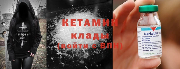 твердый Коряжма