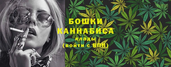 гашик Пересвет