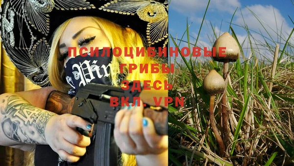 MESCALINE Краснослободск