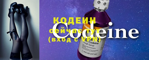 гашик Пересвет