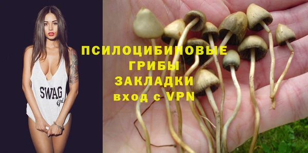 гашик Пересвет